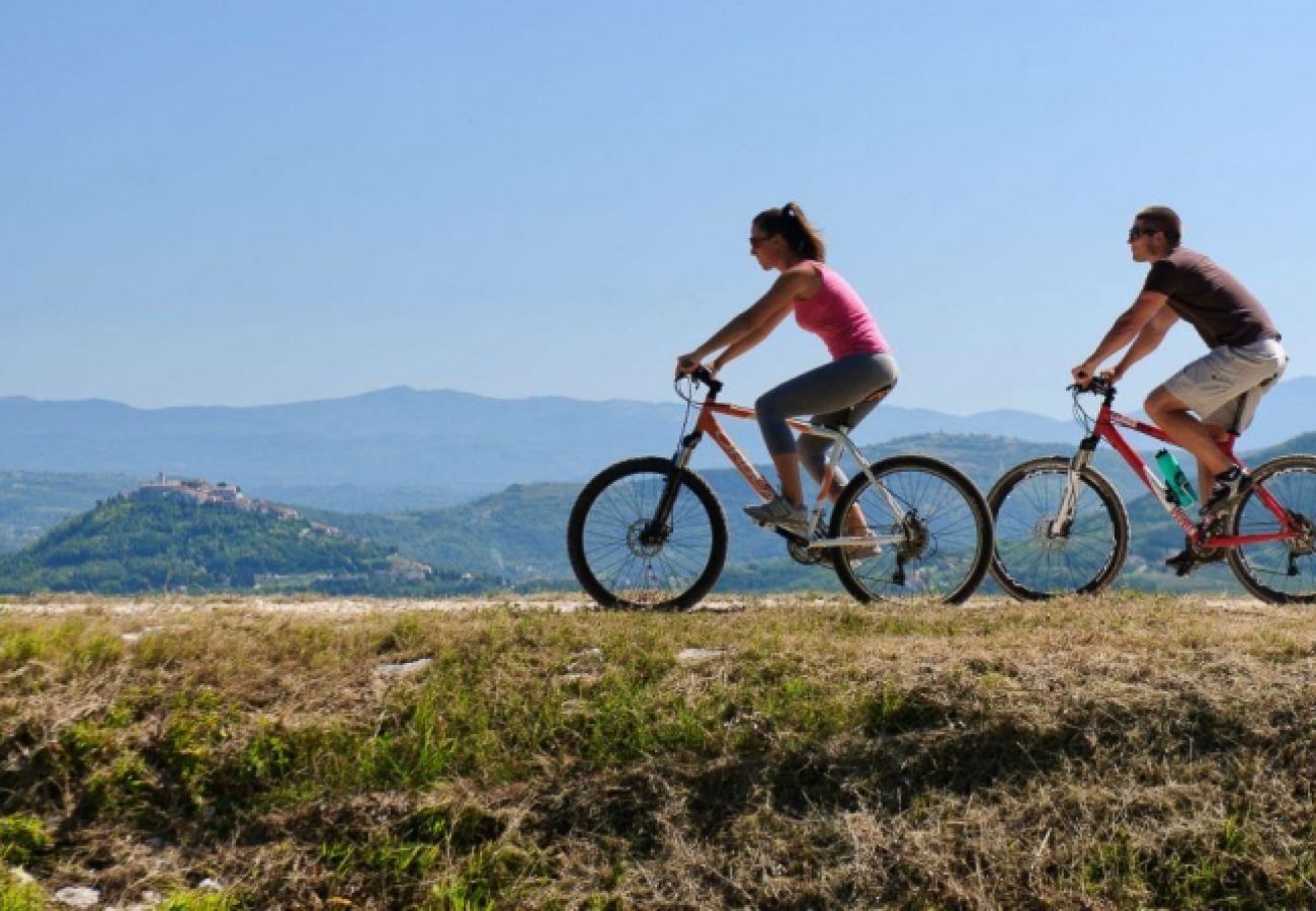 Casa a Labin - Casa di vacanza in Albona (Labin) con terrazzo, Climatizzazione, WIFI, Lavatrice (688-1)