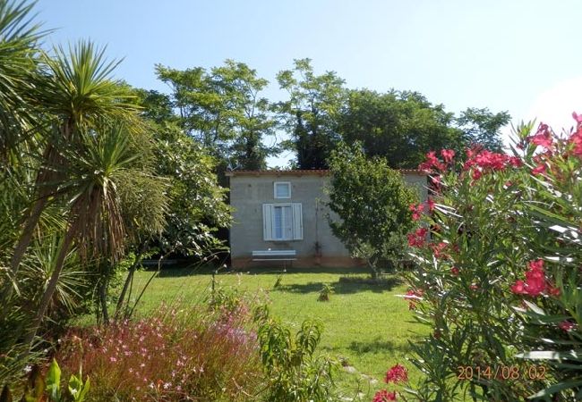 Casa a Savudrija - Casa di vacanza in Salvore (Savudrija) con terrazzo, Climatizzazione, WIFI, Lavatrice (123-11) Casa a Savudrija - Casa di vacanza in Salvore (Savudrija) con terrazzo, Climatizzazione, WIFI, Lavatrice (123-11)