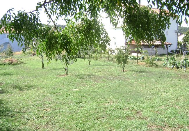 Appartamento a Lopar - Appartamento in Loparo (Lopar) con terrazzo, Climatizzazione, WIFI (568-1) Appartamento a Lopar - Appartamento in Loparo (Lopar) con terrazzo, Climatizzazione, WIFI (568-1)