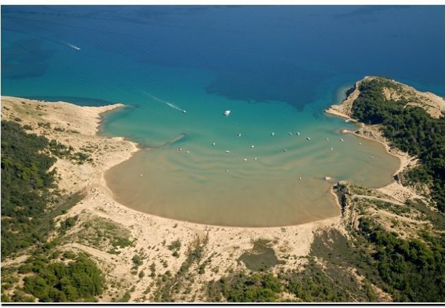 Appartamento a Lopar - Appartamento in Loparo (Lopar) con terrazzo, Climatizzazione, WIFI (568-1) Appartamento a Lopar - Appartamento in Loparo (Lopar) con terrazzo, Climatizzazione, WIFI (568-1)