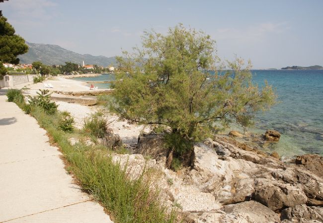 Appartamento a Orebic - Appartamento in Sabbioncello (Orebić) con vista mare, terrazzo, Climatizzazione, WIFI (829-1) Appartamento a Orebic - Appartamento in Sabbioncello (Orebić) con vista mare, terrazzo, Climatizzazione, WIFI (829-1)