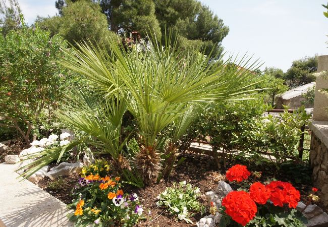 Appartamento a Orebic - Appartamento in Sabbioncello (Orebić) con vista mare, terrazzo, Climatizzazione, WIFI (829-2) Appartamento a Orebic - Appartamento in Sabbioncello (Orebić) con vista mare, terrazzo, Climatizzazione, WIFI (829-2)