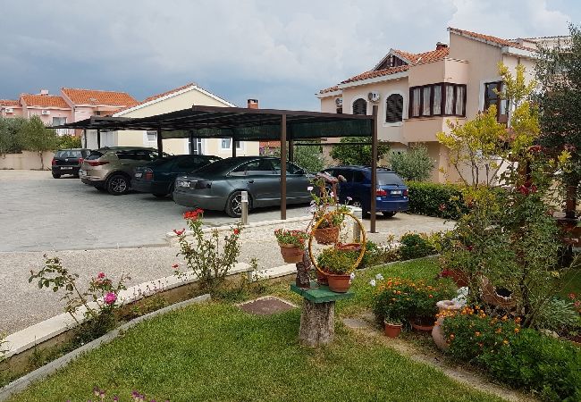 Appartamento a Privlaka - Appartamento in Brevilacqua (Privlaka) con terrazzo, Climatizzazione, WIFI, Lavatrice (821-1) Appartamento a Privlaka - Appartamento in Brevilacqua (Privlaka) con terrazzo, Climatizzazione, WIFI, Lavatrice (821-1)