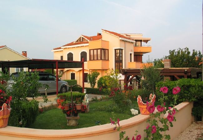 Appartamento a Privlaka - Appartamento in Brevilacqua (Privlaka) con terrazzo, Climatizzazione, WIFI, Lavatrice (821-1) Appartamento a Privlaka - Appartamento in Brevilacqua (Privlaka) con terrazzo, Climatizzazione, WIFI, Lavatrice (821-1)