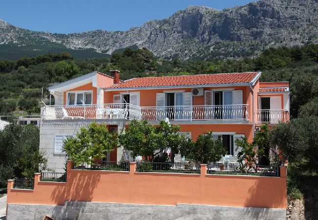 Appartamento a Podgora - Appartamento in Podgora con vista mare, terrazzo, Climatizzazione, WIFI (849-1) Appartamento a Podgora - Appartamento in Podgora con vista mare, terrazzo, Climatizzazione, WIFI (849-1)
