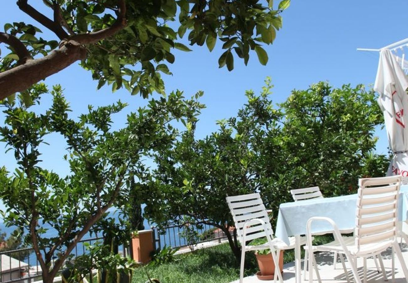 Appartamento a Podgora - Appartamento in Podgora con vista mare, terrazzo, Climatizzazione, WIFI (849-1)