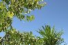 Appartamento a Podgora - Appartamento in Podgora con vista mare, terrazzo, Climatizzazione, WIFI (849-1) Appartamento a Podgora - Appartamento in Podgora con vista mare, terrazzo, Climatizzazione, WIFI (849-1)