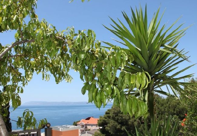 Appartamento a Podgora - Appartamento in Podgora con vista mare, terrazzo, Climatizzazione, WIFI (849-2) Appartamento a Podgora - Appartamento in Podgora con vista mare, terrazzo, Climatizzazione, WIFI (849-2)
