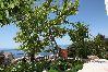 Appartamento a Podgora - Appartamento in Podgora con vista mare, terrazzo, Climatizzazione, WIFI (849-3) Appartamento a Podgora - Appartamento in Podgora con vista mare, terrazzo, Climatizzazione, WIFI (849-3)