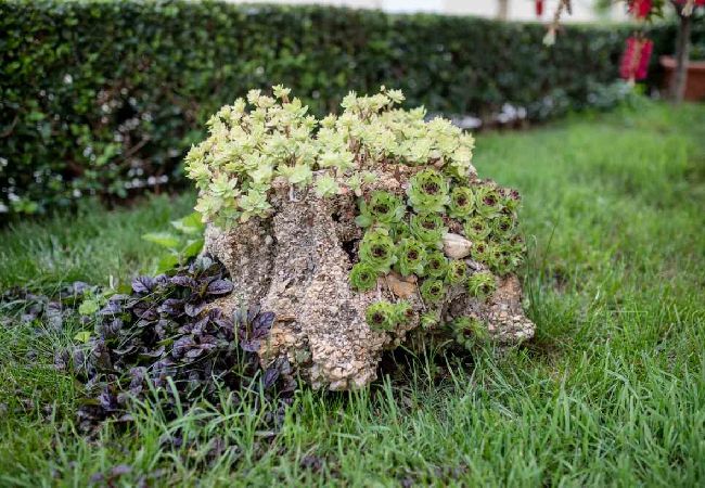Appartamento a Palit - Appartamento in Palit con terrazzo, Climatizzazione, WIFI, Lavastoviglie (820-2) Appartamento a Palit - Appartamento in Palit con terrazzo, Climatizzazione, WIFI, Lavastoviglie (820-2)