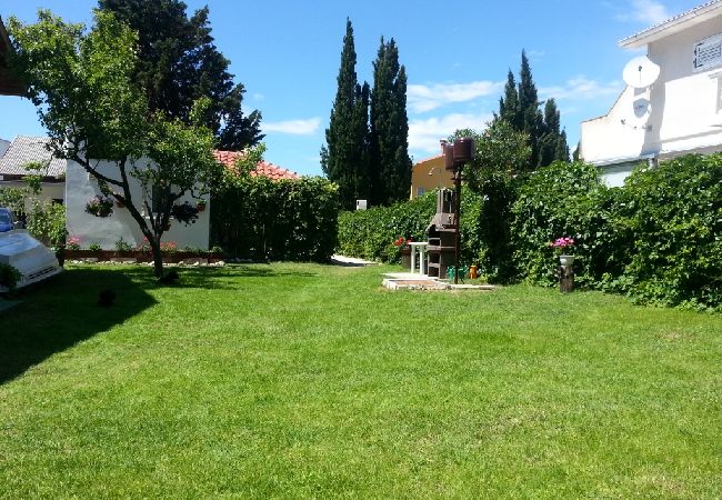 Appartamento a Privlaka - Appartamento in Sabunike con terrazzo, Climatizzazione, WIFI (231-2) Appartamento a Privlaka - Appartamento in Sabunike con terrazzo, Climatizzazione, WIFI (231-2)