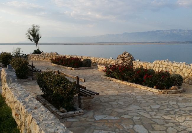 Appartamento a Privlaka - Appartamento in Sabunike con terrazzo, Climatizzazione, WIFI (231-2) Appartamento a Privlaka - Appartamento in Sabunike con terrazzo, Climatizzazione, WIFI (231-2)