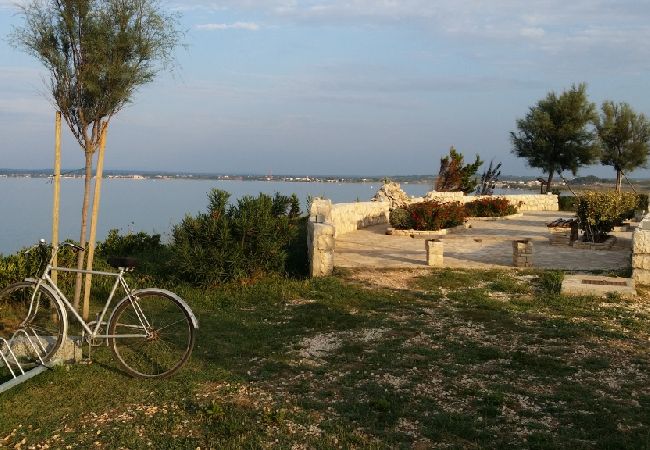Appartamento a Privlaka - Appartamento in Sabunike con terrazzo, Climatizzazione, WIFI (231-2) Appartamento a Privlaka - Appartamento in Sabunike con terrazzo, Climatizzazione, WIFI (231-2)