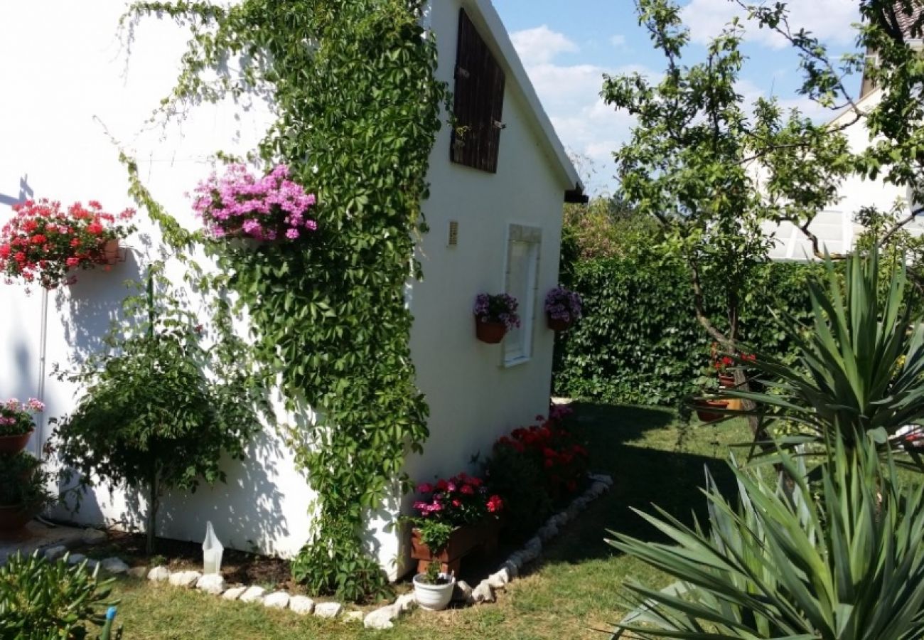 Appartamento a Privlaka - Appartamento in Sabunike con terrazzo, Climatizzazione, WIFI (231-2)