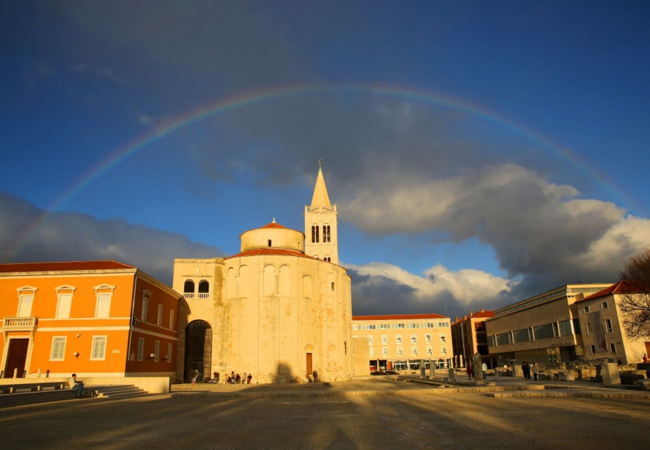 Appartamento a Bibinje - Appartamento in Bibigne (Bibinje) con terrazzo, Climatizzazione, WIFI, Lavatrice (877-3)