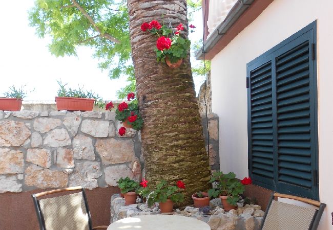 Appartamento a Privlaka - Appartamento in Brevilacqua (Privlaka) con balcone, Climatizzazione, WIFI, Lavastoviglie (878-1) Appartamento a Privlaka - Appartamento in Brevilacqua (Privlaka) con balcone, Climatizzazione, WIFI, Lavastoviglie (878-1)