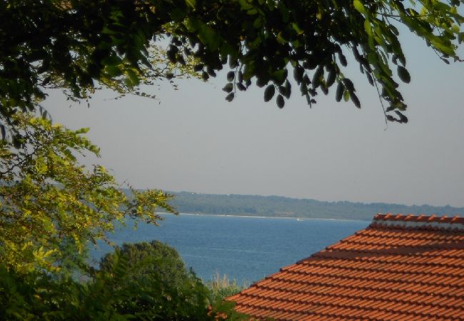Appartamento a Privlaka - Appartamento in Brevilacqua (Privlaka) con balcone, Climatizzazione, WIFI, Lavastoviglie (878-1) Appartamento a Privlaka - Appartamento in Brevilacqua (Privlaka) con balcone, Climatizzazione, WIFI, Lavastoviglie (878-1)