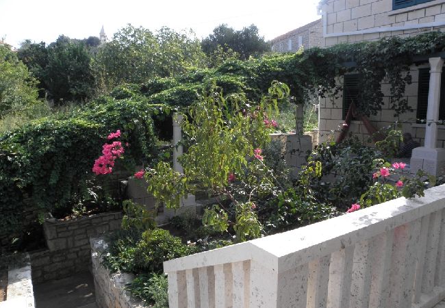 Appartamento a Lumbarda - Appartamento in Lombarda (Lumbrada) con vista mare, terrazzo, WIFI, Lavatrice (869-3) Appartamento a Lumbarda - Appartamento in Lombarda (Lumbrada) con vista mare, terrazzo, WIFI, Lavatrice (869-3)