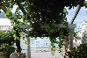 Appartamento a Lumbarda - Appartamento in Lombarda (Lumbrada) con vista mare, terrazzo, WIFI, Lavatrice (869-3) Appartamento a Lumbarda - Appartamento in Lombarda (Lumbrada) con vista mare, terrazzo, WIFI, Lavatrice (869-3)