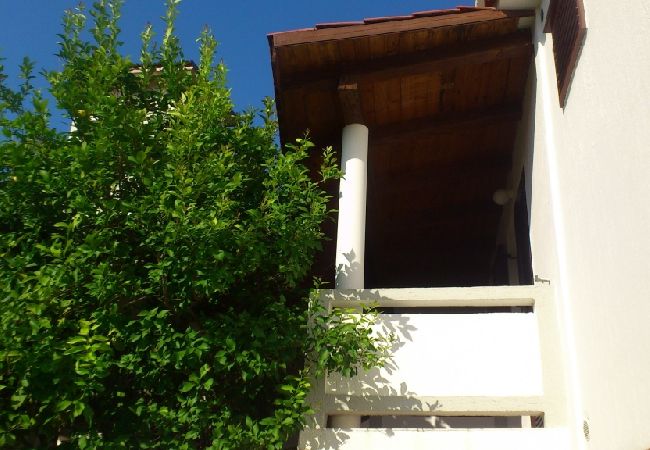 Appartamento a Kampor - Appartamento in Kampor con balcone, WIFI, Lavatrice (895-1) Appartamento a Kampor - Appartamento in Kampor con balcone, WIFI, Lavatrice (895-1)