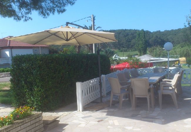 Appartamento a Kampor - Appartamento in Kampor con balcone, Climatizzazione, WIFI, Lavatrice (895-4) Appartamento a Kampor - Appartamento in Kampor con balcone, Climatizzazione, WIFI, Lavatrice (895-4)