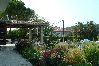 Appartamento a Kampor - Appartamento in Kampor con balcone, Climatizzazione, WIFI, Lavatrice (895-4) Appartamento a Kampor - Appartamento in Kampor con balcone, Climatizzazione, WIFI, Lavatrice (895-4)