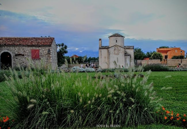 Appartamento a Nin - Appartamento in Nona (Nin) con terrazzo, Climatizzazione, WIFI (864-4) Appartamento a Nin - Appartamento in Nona (Nin) con terrazzo, Climatizzazione, WIFI (864-4)