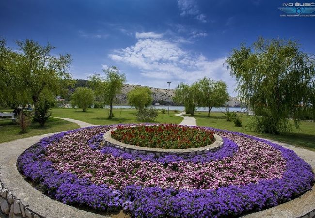 Appartamento a Lopar - Appartamento in Loparo (Lopar) con Climatizzazione, WIFI (613-3) Appartamento a Lopar - Appartamento in Loparo (Lopar) con Climatizzazione, WIFI (613-3)