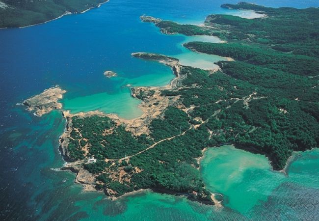 Appartamento a Lopar - Appartamento in Loparo (Lopar) con vista mare, terrazzo, Climatizzazione, WIFI (613-4) Appartamento a Lopar - Appartamento in Loparo (Lopar) con vista mare, terrazzo, Climatizzazione, WIFI (613-4)