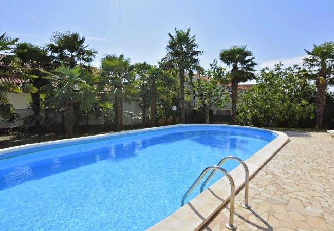 Studio a Porec - Appartamento Studio in Parenzo (Porec) con vista mare, balcone, Climatizzazione, WIFI (819-6) Studio a Porec - Appartamento Studio in Parenzo (Porec) con vista mare, balcone, Climatizzazione, WIFI (819-6)