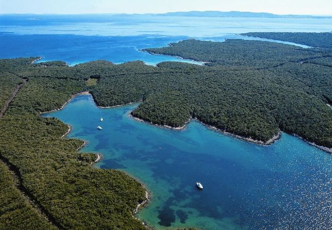 Appartamento a Stivan - Appartamento in Stivan con terrazzo, Climatizzazione, WIFI (920-2) Appartamento a Stivan - Appartamento in Stivan con terrazzo, Climatizzazione, WIFI (920-2)