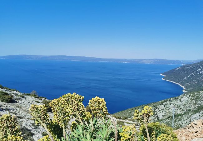 Appartamento a Stivan - Appartamento in Stivan con terrazzo, Climatizzazione, WIFI, Lavatrice (920-3) Appartamento a Stivan - Appartamento in Stivan con terrazzo, Climatizzazione, WIFI, Lavatrice (920-3)