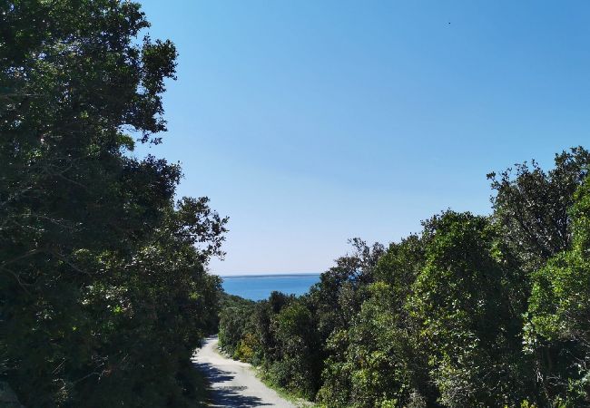 Appartamento a Stivan - Appartamento in Stivan con terrazzo, Climatizzazione, WIFI, Lavatrice (920-3) Appartamento a Stivan - Appartamento in Stivan con terrazzo, Climatizzazione, WIFI, Lavatrice (920-3)