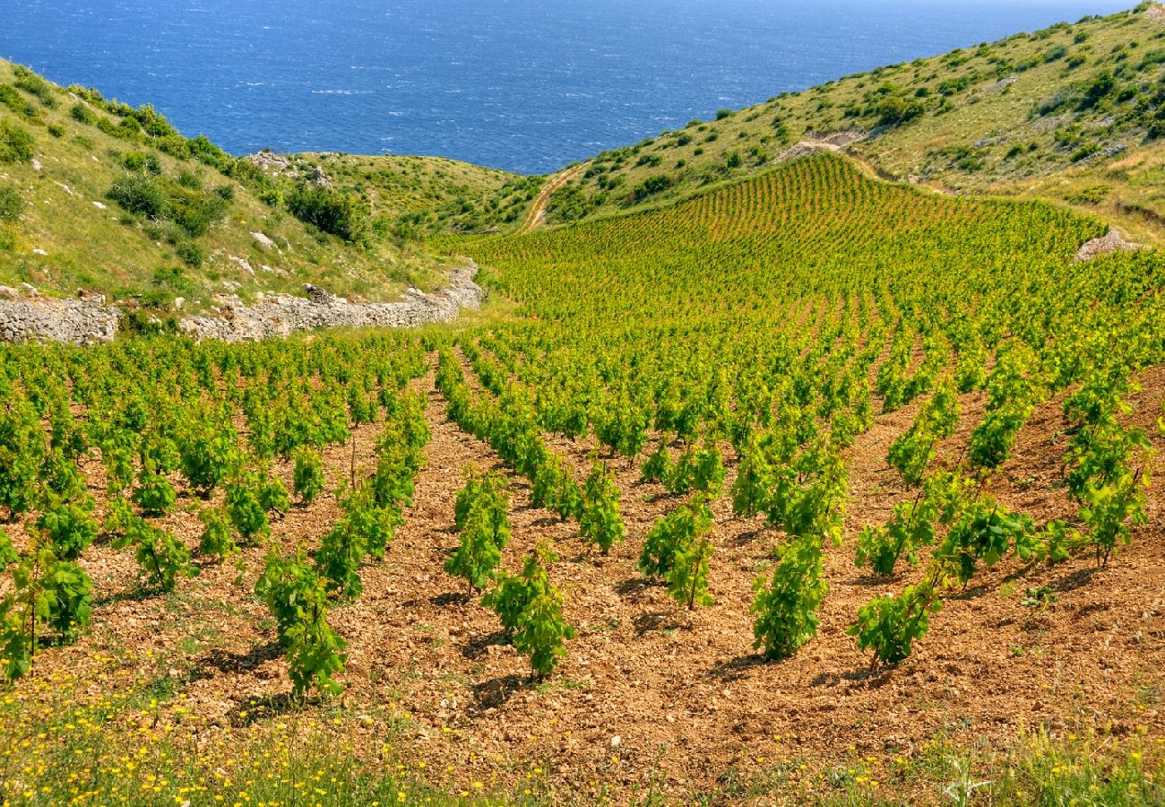 Appartamento a Sucuraj - Appartamento in San Giorgio (Sućuraj) con vista mare, terrazzo, Climatizzazione, WIFI (3354-1)