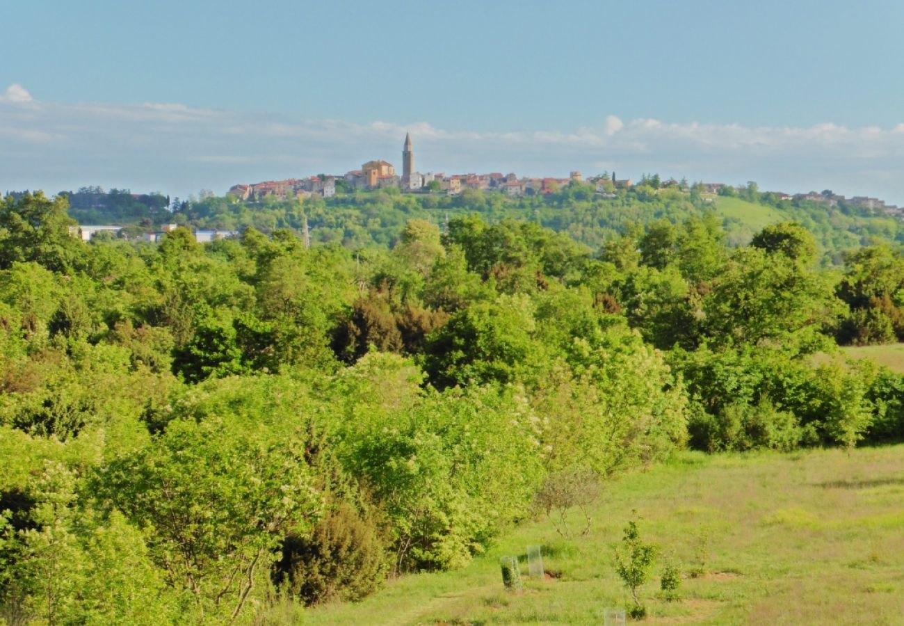 Casa a Buje - Casa di vacanza in Buie (Buje) con terrazzo, Climatizzazione, WIFI, Lavatrice (3356-1)