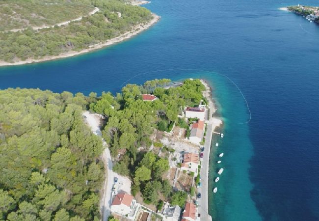 Appartamento a Povlja - Appartamento in Povlja con vista mare, terrazzo, Climatizzazione, WIFI (3419-2) Appartamento a Povlja - Appartamento in Povlja con vista mare, terrazzo, Climatizzazione, WIFI (3419-2)