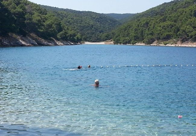 Appartamento a Povlja - Appartamento in Povlja con vista mare, terrazzo, Climatizzazione, WIFI (3419-2) Appartamento a Povlja - Appartamento in Povlja con vista mare, terrazzo, Climatizzazione, WIFI (3419-2)