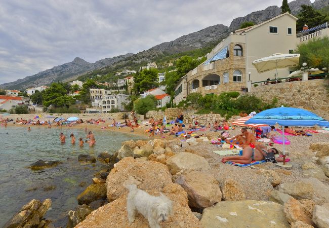 Appartamento a Pisak - Appartamento in Pisak con vista mare, terrazzo, Climatizzazione, WIFI (153-31) Appartamento a Pisak - Appartamento in Pisak con vista mare, terrazzo, Climatizzazione, WIFI (153-31)