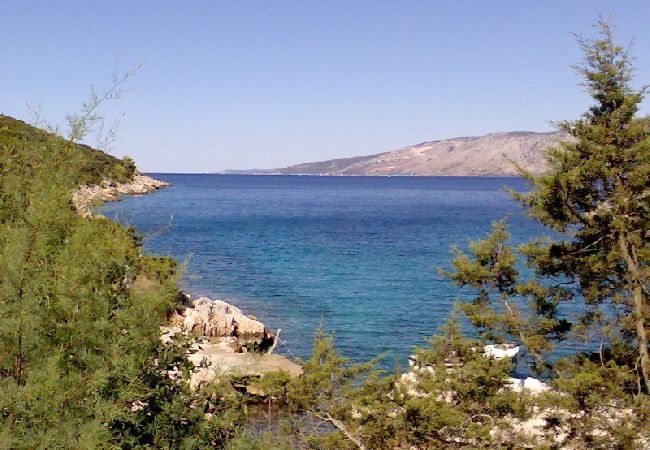 Appartamento a Stari Grad - Appartamento in Basina con vista mare, terrazzo (3450-1) Appartamento a Stari Grad - Appartamento in Basina con vista mare, terrazzo (3450-1)