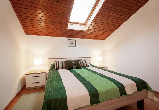Appartamento a Rovinj - Appartamento in Rovigno (Rovinj) con balcone, Climatizzazione, WIFI, Lavatrice (3482-4) Appartamento a Rovinj - Appartamento in Rovigno (Rovinj) con balcone, Climatizzazione, WIFI, Lavatrice (3482-4)