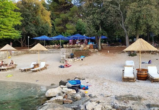 Appartamento a Rovinj - Ferienwohnung in Rovinj mit Terrasse, Klimaanlage, W-LAN (3483-4) Appartamento a Rovinj - Ferienwohnung in Rovinj mit Terrasse, Klimaanlage, W-LAN (3483-4)