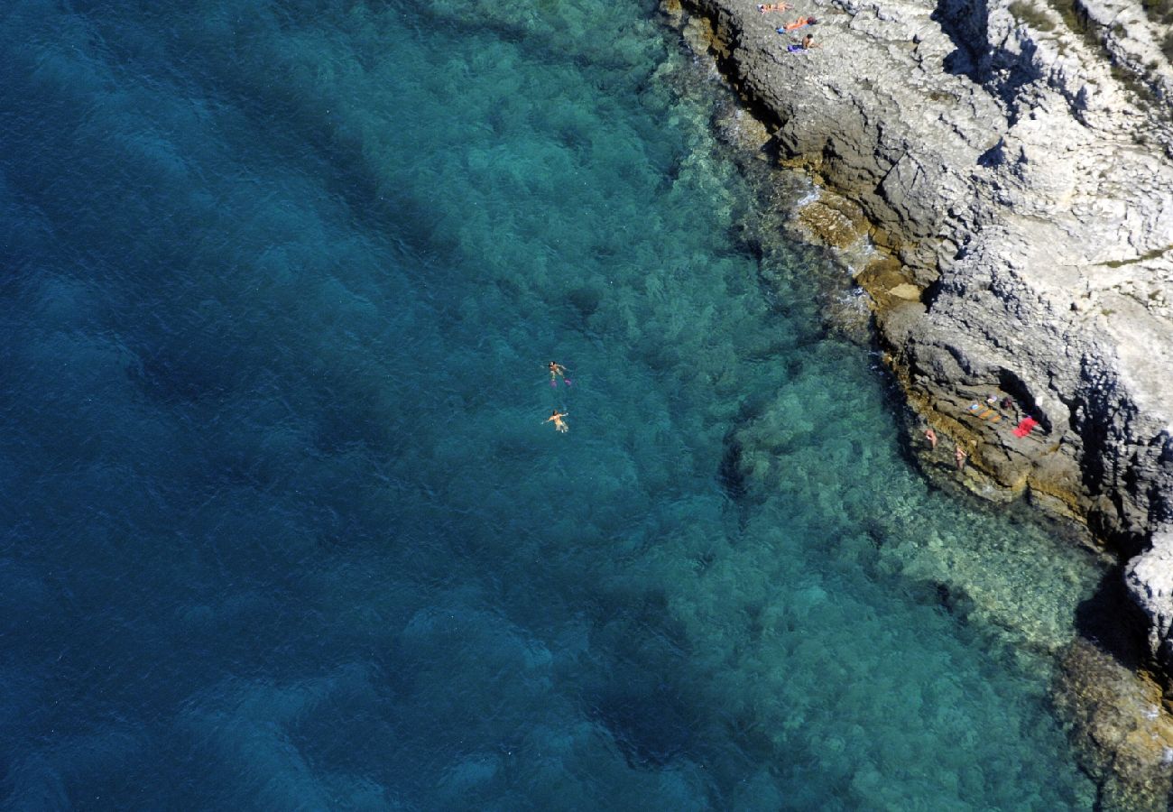 Affitto per camere a Medulin - Camera in Medolino (Medulin) con terrazzo, Climatizzazione (3488-5)