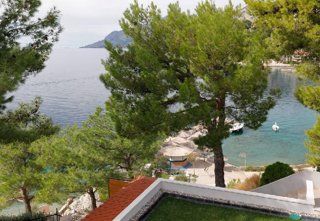 Appartamento a Brela - Appartamento in Brella (Brela) con vista mare, terrazzo, Climatizzazione, WIFI (3524-1) Appartamento a Brela - Appartamento in Brella (Brela) con vista mare, terrazzo, Climatizzazione, WIFI (3524-1)
