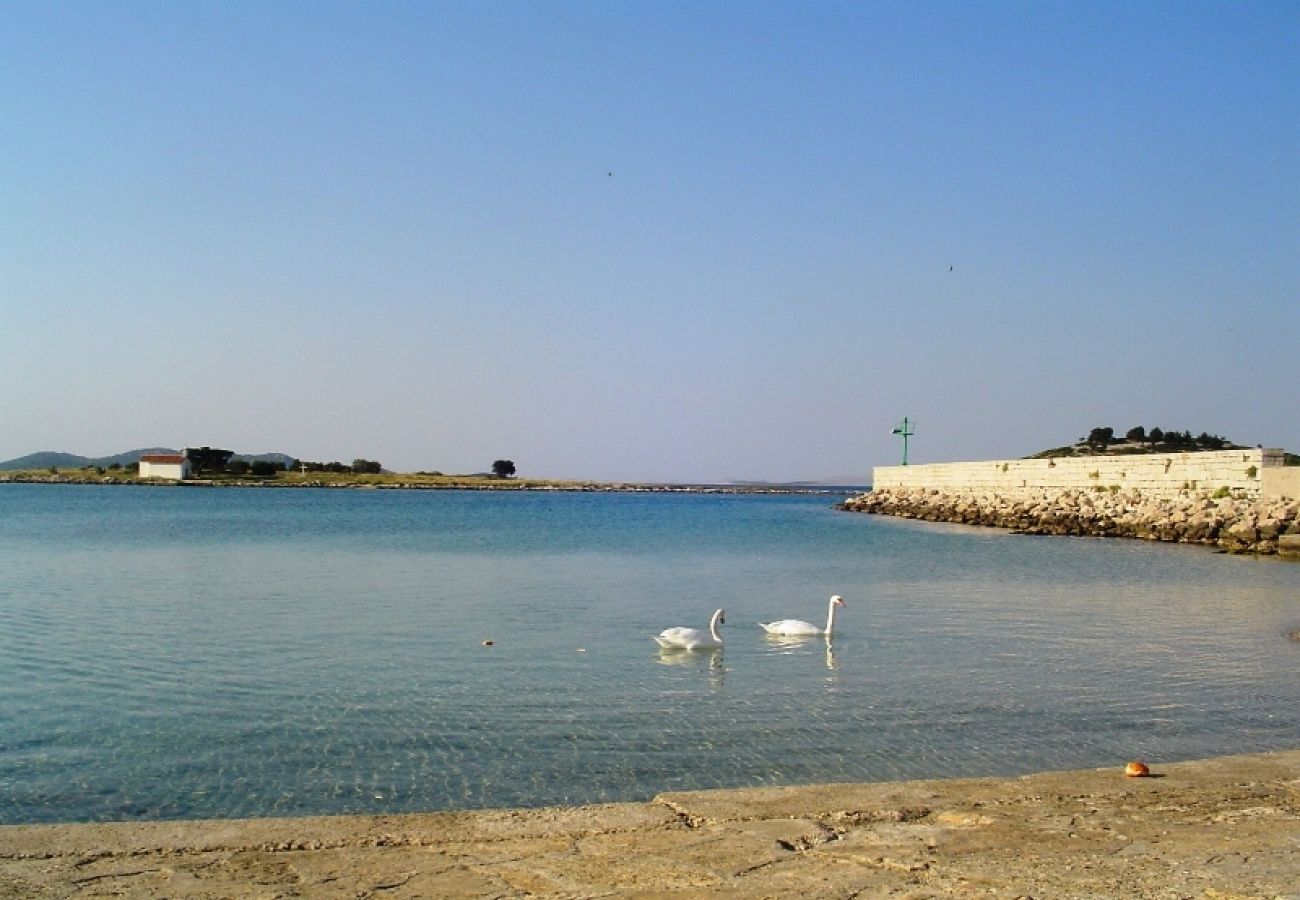 Appartamento a Pakoštane - Appartamento in Pacostiane (Pakostane) con vista mare, balcone, Climatizzazione, WIFI (3539-1)