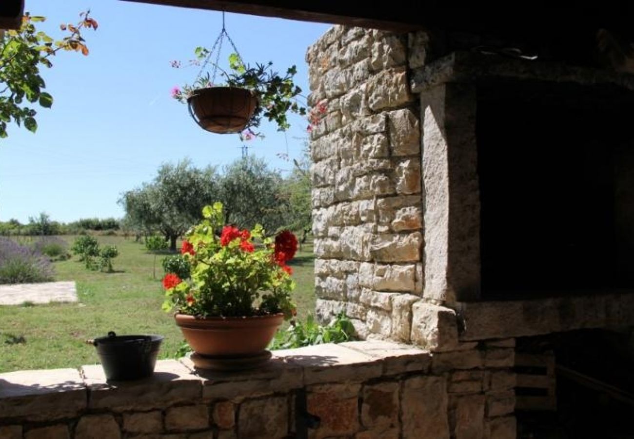 Casa a Vodnjan - Ferienhaus in Vodnjan mit Terrasse, Klimaanlage, W-LAN, Waschmaschine (3556-1)