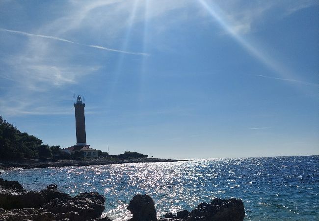 Casa a Veli Rat - Casa di vacanza in Veli Rat con vista mare, terrazzo, Climatizzazione, WIFI (3559-1) Casa a Veli Rat - Casa di vacanza in Veli Rat con vista mare, terrazzo, Climatizzazione, WIFI (3559-1)