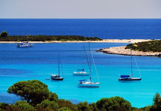 Casa a Veli Rat - Casa di vacanza in Veli Rat con vista mare, terrazzo, Climatizzazione, WIFI (3559-1) Casa a Veli Rat - Casa di vacanza in Veli Rat con vista mare, terrazzo, Climatizzazione, WIFI (3559-1)