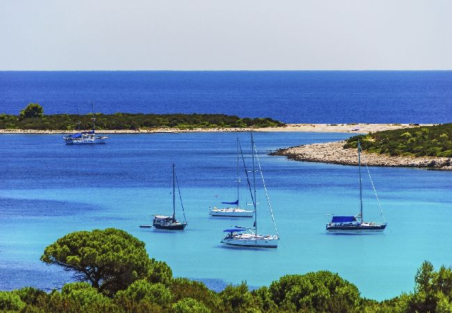 Casa a Veli Rat - Casa di vacanza in Veli Rat con vista mare, terrazzo, Climatizzazione, WIFI (3559-1) Casa a Veli Rat - Casa di vacanza in Veli Rat con vista mare, terrazzo, Climatizzazione, WIFI (3559-1)