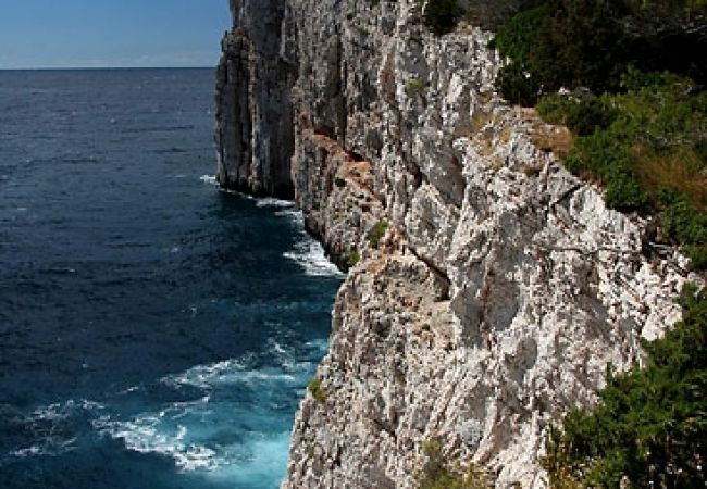 Casa a Veli Rat - Casa di vacanza in Veli Rat con vista mare, terrazzo, Climatizzazione, WIFI (3559-1) Casa a Veli Rat - Casa di vacanza in Veli Rat con vista mare, terrazzo, Climatizzazione, WIFI (3559-1)