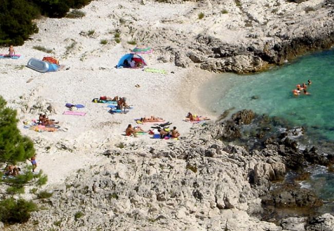 Casa a Veli Rat - Casa di vacanza in Veli Rat con vista mare, terrazzo, Climatizzazione, WIFI (3559-1) Casa a Veli Rat - Casa di vacanza in Veli Rat con vista mare, terrazzo, Climatizzazione, WIFI (3559-1)